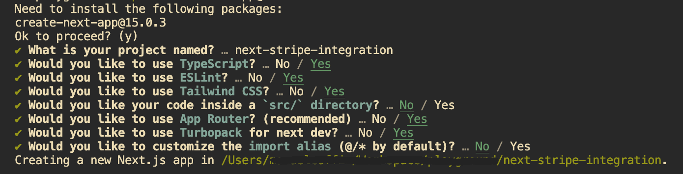 Installation process in Next.js 15